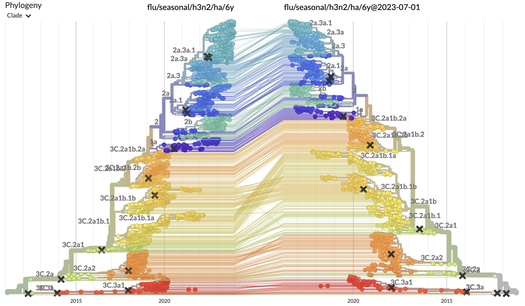 Tanglegram of flu/seasonal/h3n2/ha/6y:flu/seasonal/h3n2/ha/6y@2023-07-01